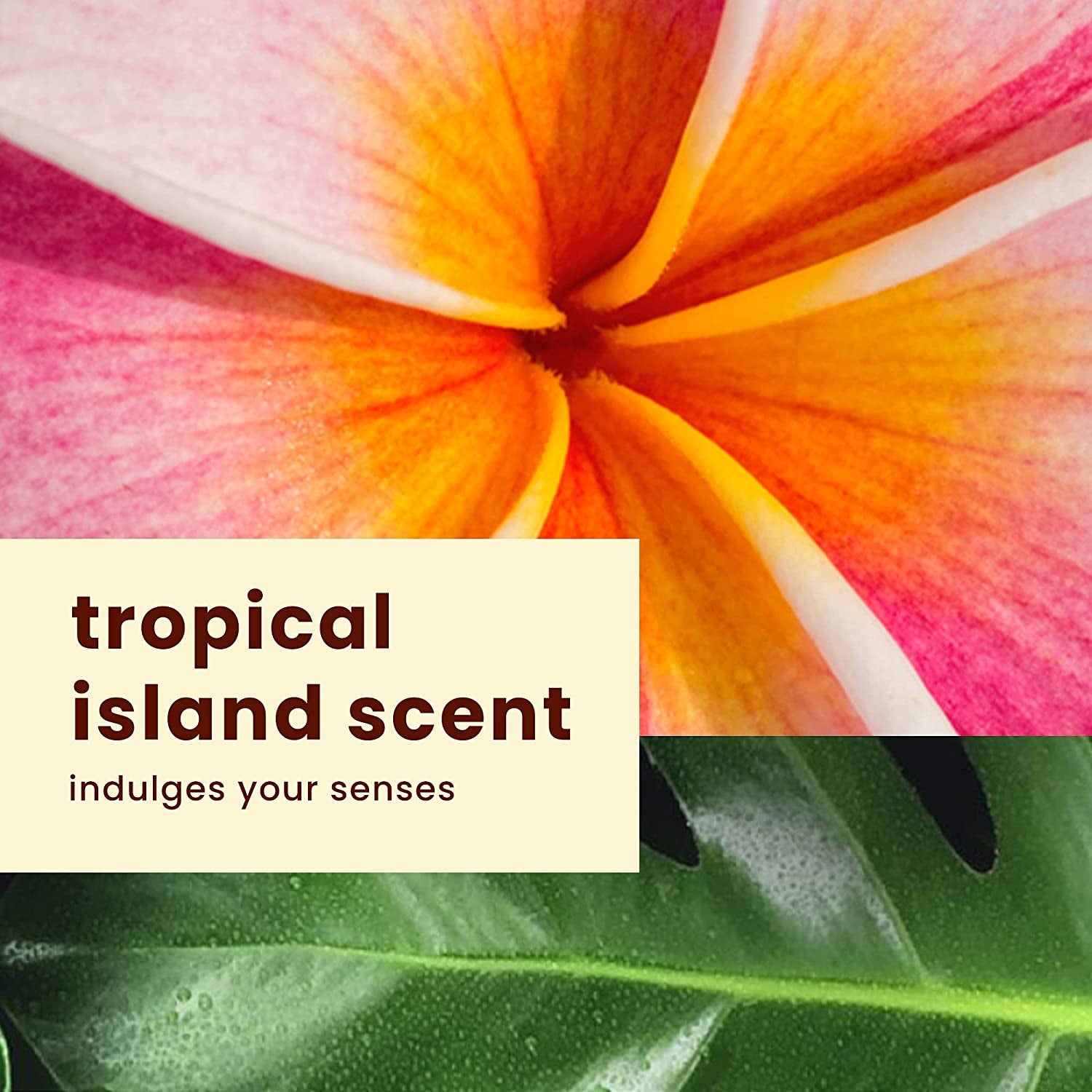 "Silk Hydration Weightless Sunscreen Pack - SPF 30, Broad Spectrum, Hawaiian Tropic"