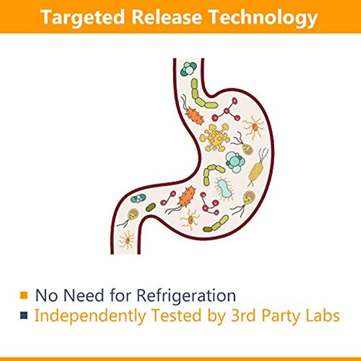 NewRhythm Probiotics 50 Billion CFU 20 Strains, 60 Veggie Capsules, Targeted Release Technology, Stomach Acid Resistant, No Need for Refrigeration, Non-GMO, Gluten Free